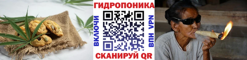 Canna-Cookies конопля  Купить закладки  Межгорье 