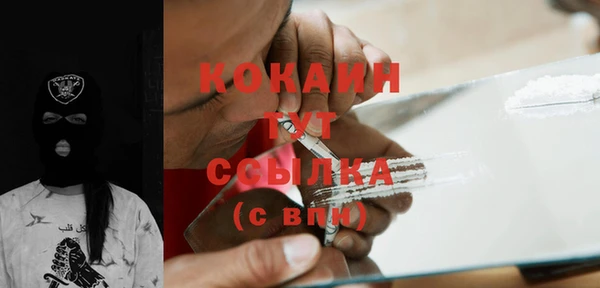 ГАЛЛЮЦИНОГЕННЫЕ ГРИБЫ Ладушкин