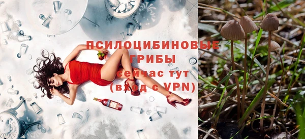 альфа пвп Лиски