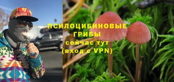 ALPHA PVP Лихославль